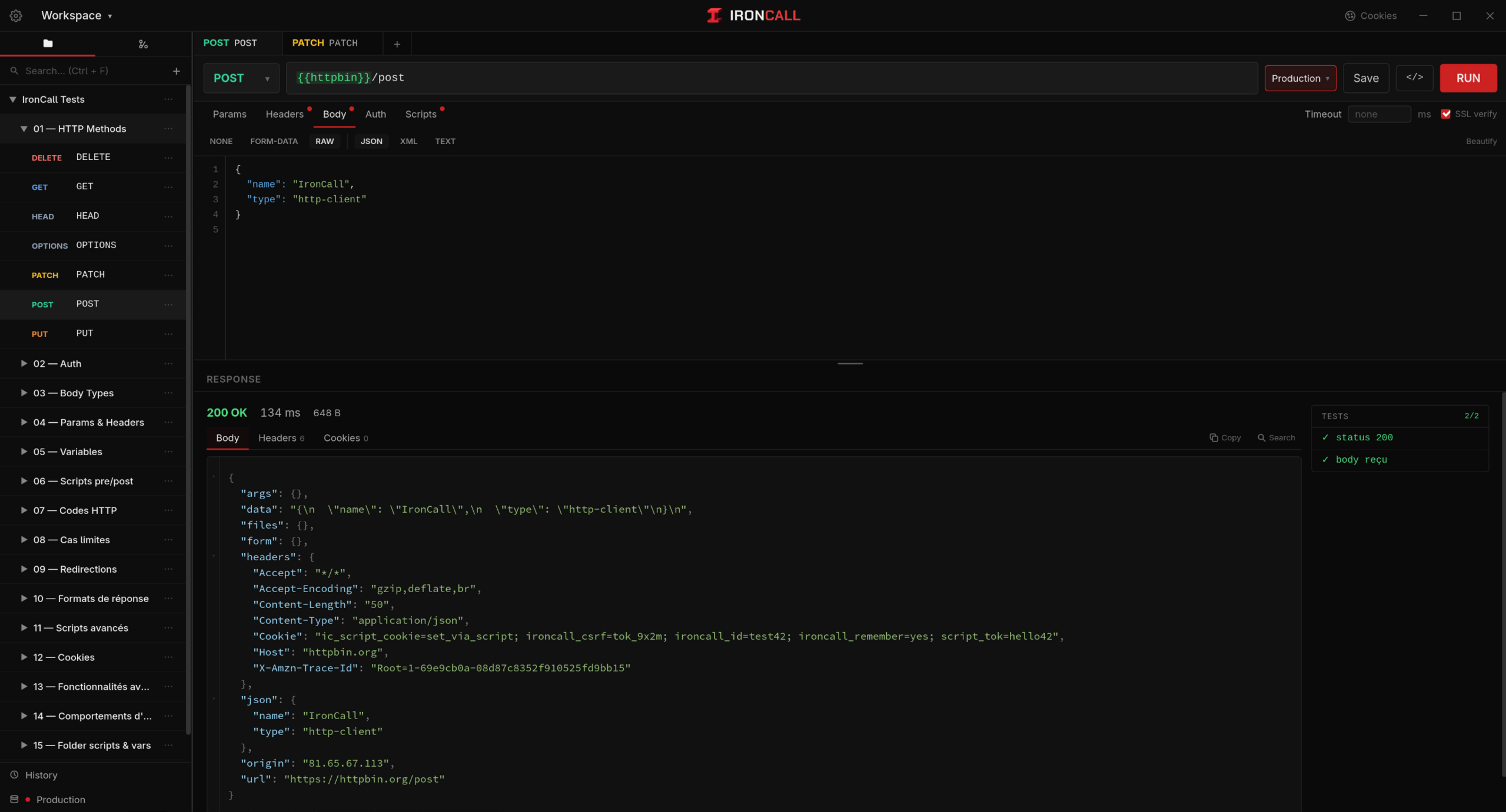 Ironcall API client — request editor with collections panel, environment variables and HTTP response viewer